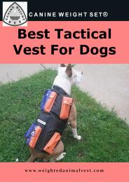 Best Tactical Vest For Dogs