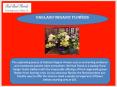 Oakland Organic Flowers PowerPoint PPT Presentation
