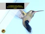 PLANNING FOR LAKES & HIGHLANDS ETHIOPIA BIRDING TOUR