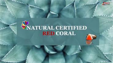 Get Natural Coral at PMKK GEMS | Rashi Ratan Jaipur