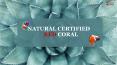 Get Natural Coral at PMKK GEMS | Rashi Ratan Jaipur PowerPoint PPT Presentation
