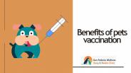 Benefits of pets vaccination