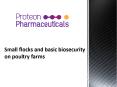 Small flocks and basic biosecurity on poultry farms PowerPoint PPT Presentation
