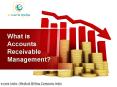 What is Accounts Receivable Management? PowerPoint PPT Presentation