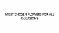 MOST CHOSEN FLOWERS FOR ALL OCCASIONS PowerPoint PPT Presentation