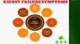 Ayurvedic treatment for Kidney failure