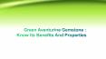 Green Aventurine Gemstone : Know Its Benefits And Properties PowerPoint PPT Presentation