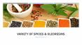 Variety Of Spices & Oleoresins - Herbs Village PowerPoint PPT Presentation