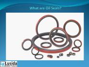 What are Oil Seals?