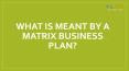 What is Meant by a Matrix Business Plan? PowerPoint PPT Presentation