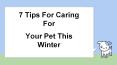 7 Tips For Caring For Your Pet This Winter (1) PowerPoint PPT Presentation