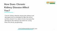 kidneyandayurveda