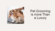 Pet Grooming is more Than a Luxury