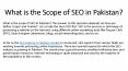 What is the scope of SEO in Pakistan.? PowerPoint PPT Presentation
