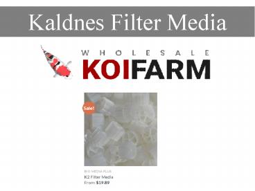 Kaldnes Filter Media
