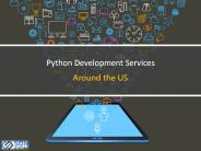Python Development Services in USA