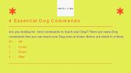 4 Essential dog commands