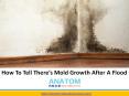 How to tell there’s Mold Growth after a Flood, Mold Remediation Aurora PowerPoint PPT Presentation