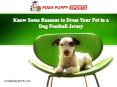Know Some Reasons to Dress Your Pet in a Dog Football Jersey PowerPoint PPT Presentation
