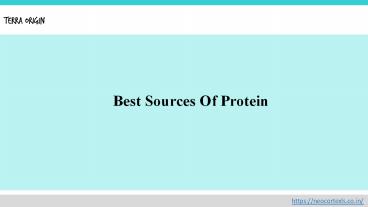 Best Sources Of Protein