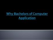 why bachelors in computer application