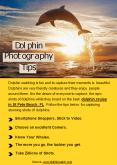 Dolphin Photography Tips PowerPoint PPT Presentation