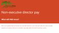 Non-executive director pay PowerPoint PPT Presentation