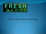 Lawn Care And Maintainance Tips