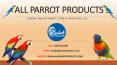 ALL PARROT PRODUCTS - Leading Parrot Food Supplier in USA PowerPoint PPT Presentation
