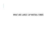 What are Large Cap Mutual Funds?
