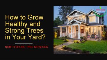 northshoretree01 (2)