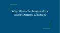 Why Hire a Professional for Water Damage Cleanup? PowerPoint PPT Presentation
