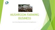 Mushroom Farming Business- IID (1)