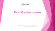 Ptca dilatation catheter