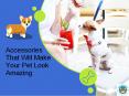 Accessories  That Will Make  Your Pet Look Amazing