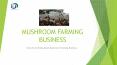Mushroom Farming Business- IID PowerPoint PPT Presentation