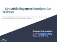 Consuti: Singapore Immigration Services PowerPoint PPT Presentation