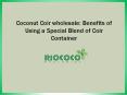 Coconut Coir wholesale: Benefits of Using a Special Blend of Coir Container PowerPoint PPT Presentation