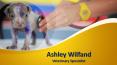 Ashley Wilfand _ Veterinary Specialist PowerPoint PPT Presentation