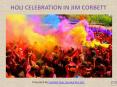 Holi Celebration Packages in Jim Corbett | Holi Packages near Delhi PowerPoint PPT Presentation