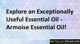 Explore an Exceptionally Useful Essential Oil - Armoise Essential Oil! PowerPoint PPT Presentation
