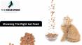 Choosing The Right Cat Food PowerPoint PPT Presentation