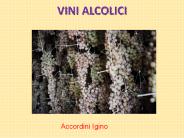 Accordini Igino | Vini Alcolici