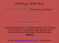 Histology of the Skin PowerPoint PPT Presentation