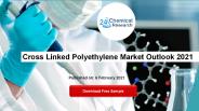 Cross Linked Polyethylene Market Outlook 2021