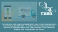 Marijuana Delivery Thousand Oaks - LA Rush PowerPoint PPT Presentation