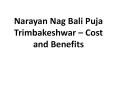 Narayan Nag Bali Puja Trimbakeshwar – Cost and Benefits PowerPoint PPT Presentation