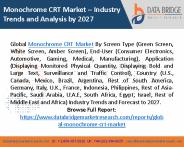 Monochrome CRT Market