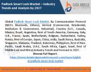 Padlock Smart Lock Market