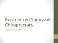 Experienced Sunnyvale Chiropractors PowerPoint PPT Presentation